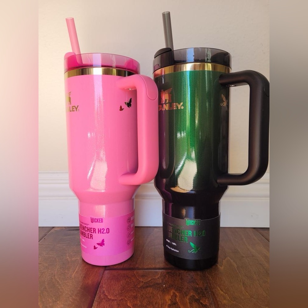 LIMITED EDITION Wicked X Stanley 40oz Tumbler Set ✨IN HAND✨ 💚🩷
